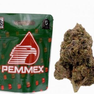 Backpackboyz | Pemmex